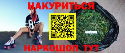 Альфа ПВП Кингисепп