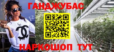 Альфа ПВП Кингисепп